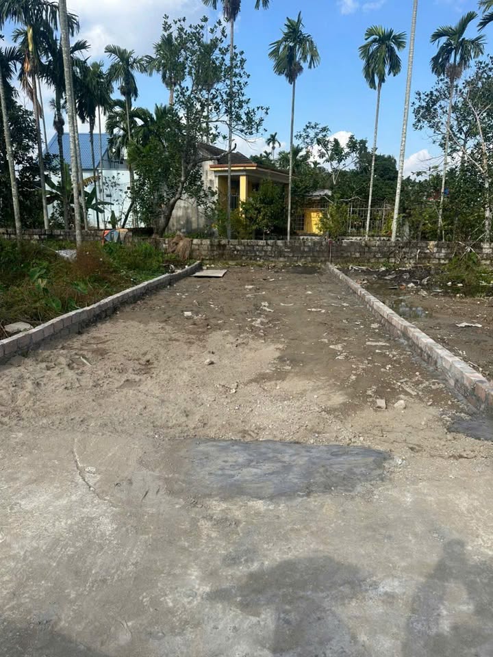 Đất thổ cư Lâm Động, Hải Phòng 62m² giá 1.39 tỷ - Cơ hội đầu tư tuyệt vời!