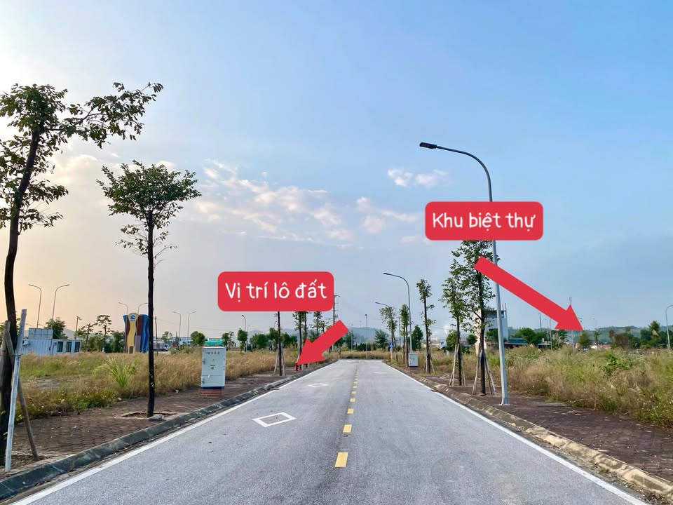 Đất nền Thành Đông, Chí Linh, Hải Dương 70m² chỉ 1 tỷ - Cơ hội đầu tư tuyệt vời!