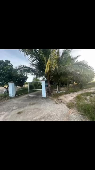 Nhà và vườn sinh thái 8600m² Tân Tiến giá chỉ 1.3 tỷ - Cơ hội đầu tư không thể bỏ lỡ!