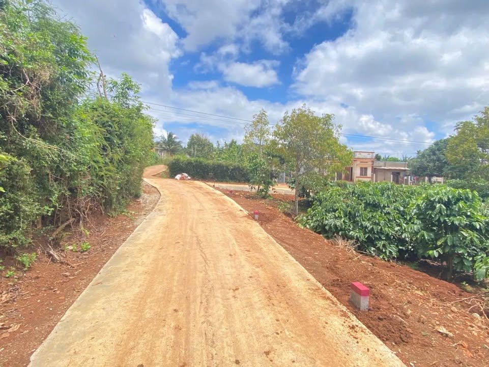 Đất thổ cư Cư Bao 185m² giá 255 triệu - Đầu tư sinh lời ngay!