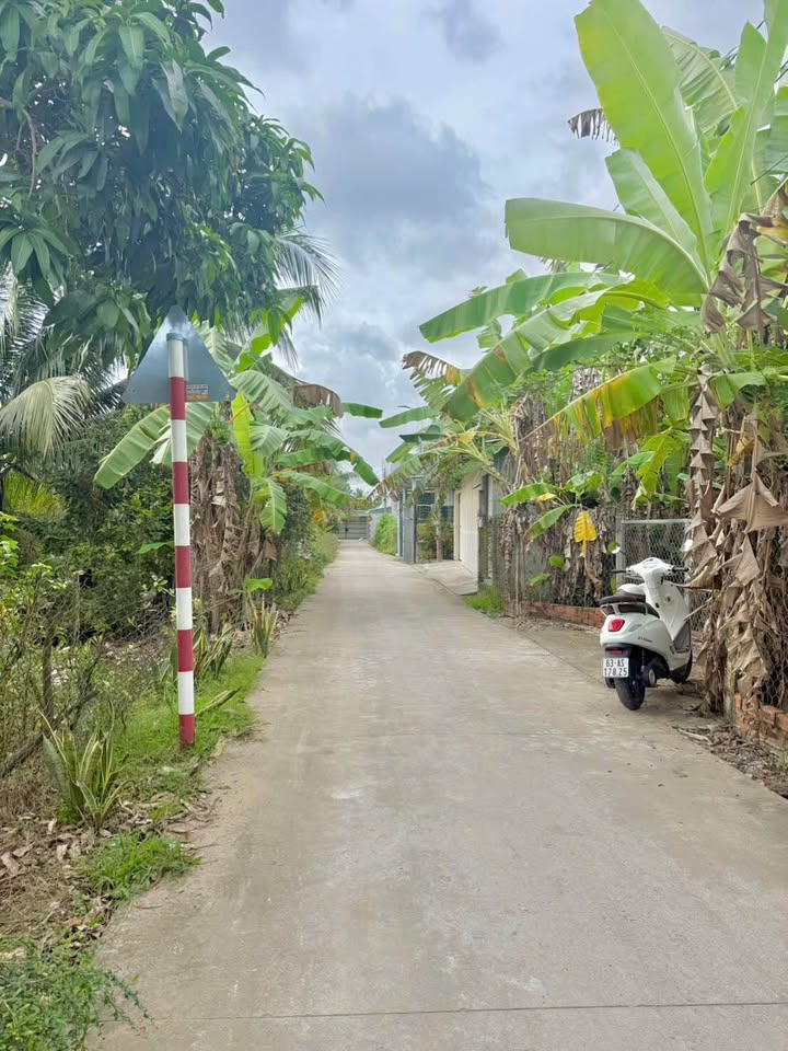 Đất mặt tiền Đạo Thạnh 1.344m² giá 2.1 tỷ - Cơ hội đầu tư tuyệt vời!