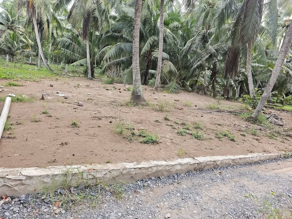 Đất nền Lộc Thuận 609m² giá 400 triệu - Đầu tư ngay, xây nhà liền!