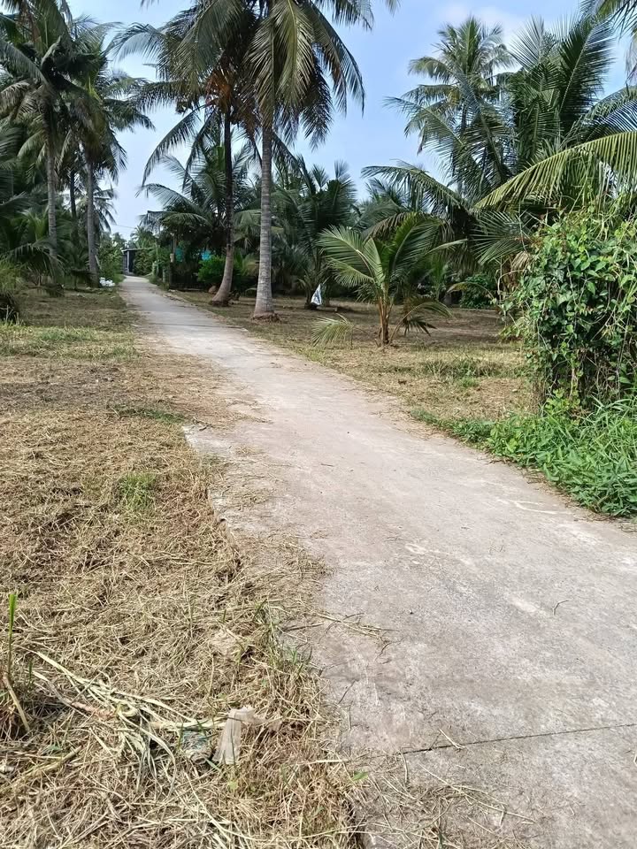 Đất nền tại Bình Đại 240m² giá 400 triệu - Cơ hội đầu tư không thể bỏ lỡ!