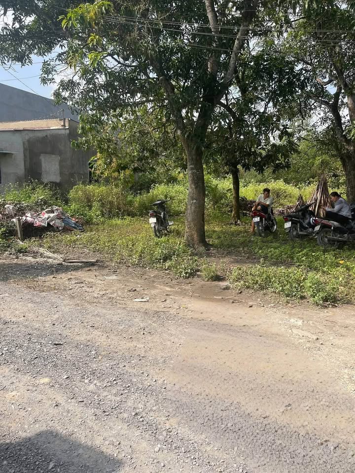 Đất thổ cư Mỹ Hạnh Nam, Đức Hòa, Long An 175m² giá 1.35 tỷ - Cơ hội đầu tư tốt!