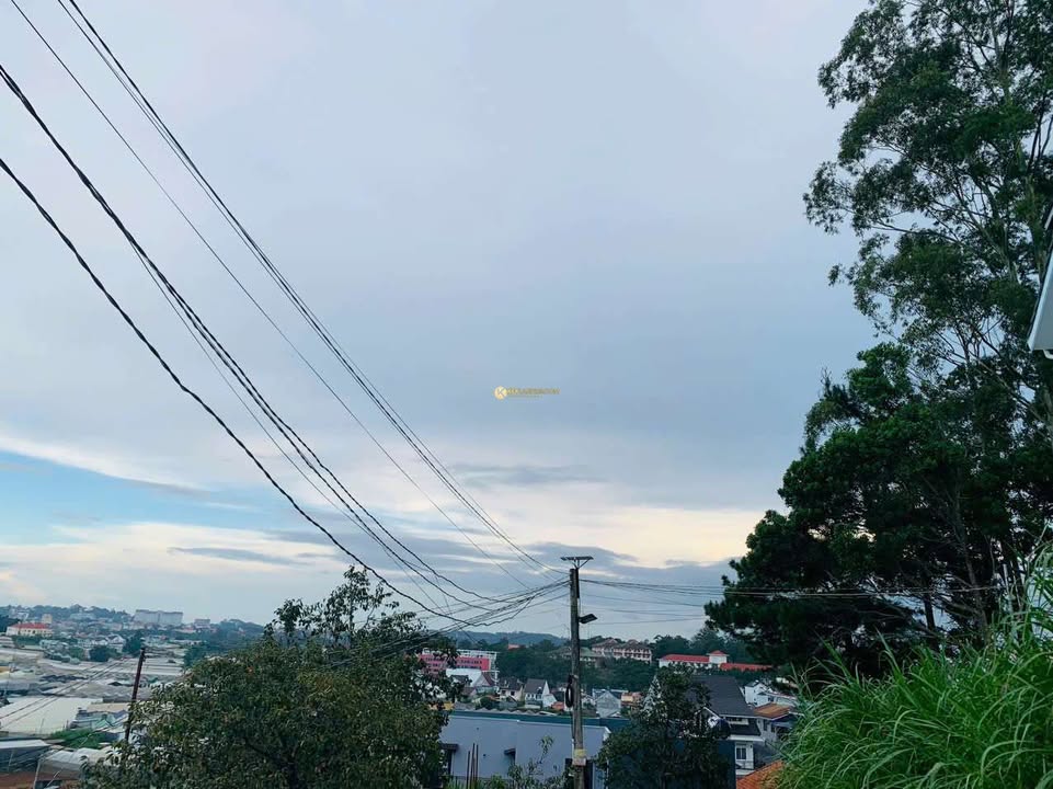 Đất mặt tiền ô tô Phù Đổng Thiên Vương, Đà Lạt 83.5m² giá 6 tỷ - Cơ hội đầu tư tuyệt vời!