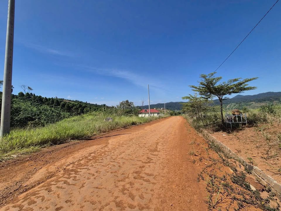 Đất nền Lộc Tân Bảo Lâm 330m² giá 999 triệu - Đầu tư sinh lời ngay!