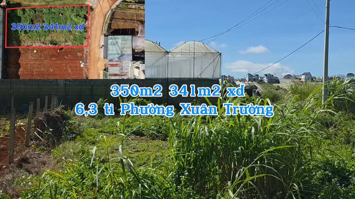 Đất thổ cư 350m² tại Phường Xuân Trường, Đà Lạt giá 6.3 tỷ - View thoáng đẹp!