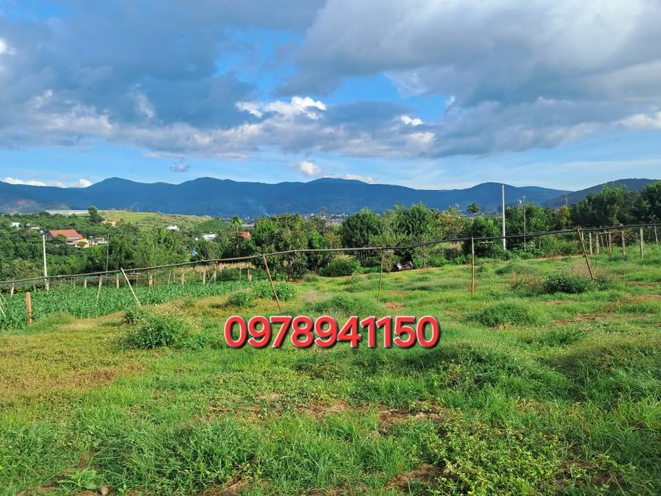 Đất nền Nam Ban 1033m² giá 2.5 tỷ - View núi Voi tuyệt đẹp!