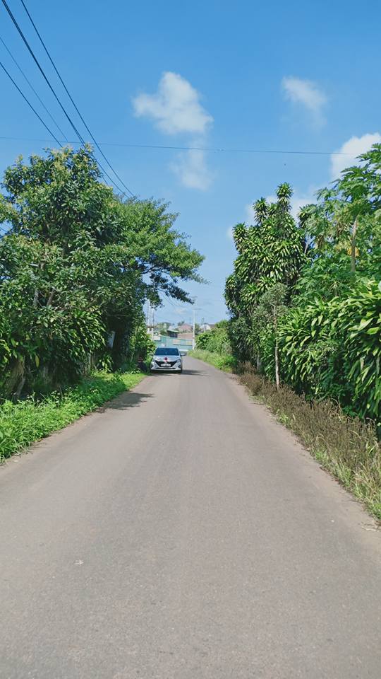 Đất Lộc Nga Bảo Lộc 2220m² giá 6.9 tỷ - Đầu tư sinh lời bền vững!