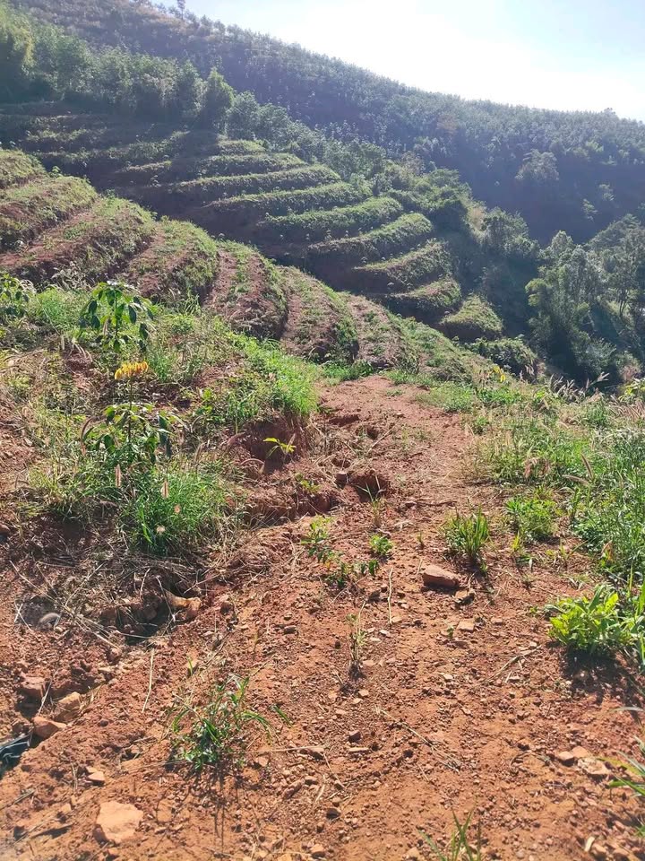 Đất nông nghiệp 1ha tại xã Ngọc Réo, Kon Tum - Giá chỉ 300 triệu!