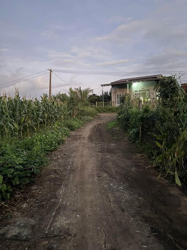 Đất nền Ea Phê, Krông Pắc 510m² - Phù hợp xây dựng nhà ở và kho xưởng