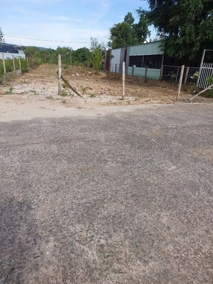 Đất mặt tiền đường Cây Thông, Phú Quốc 550m² giá 2 tỷ - Cơ hội đầu tư lý tưởng!