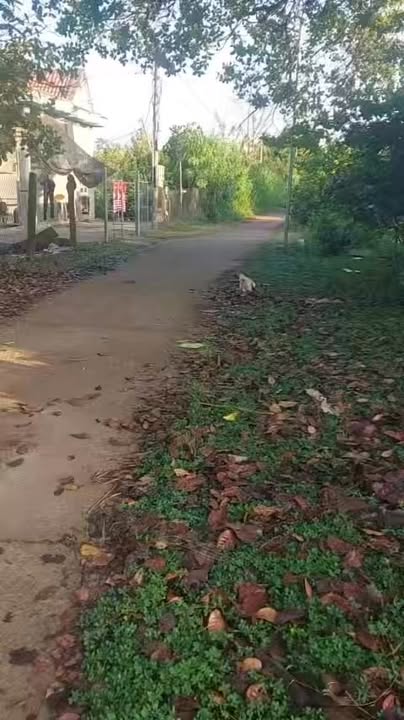 Đất thổ cư Tân Phú 5760m² giá 800 triệu - Sổ đỏ chính chủ, bớt lộc cho khách thiện chí!