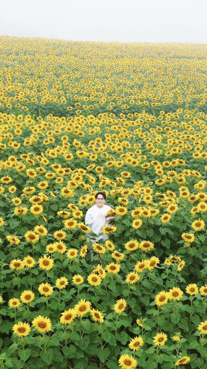 Đất nền lô góc Trường Sơn, Cẩm Lệ, Đà Nẵng 7550m² - Giá thỏa thuận hấp dẫn!