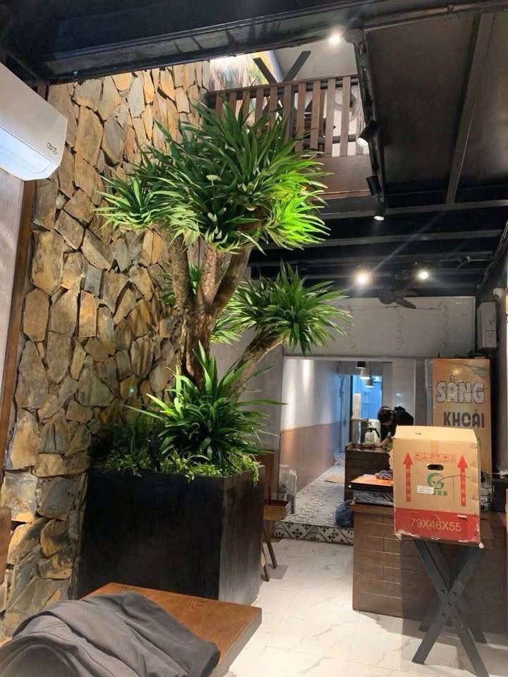 Mặt phố Hàng Buồm, Hoàn Kiếm 85m² giá 50 tỷ - Tài sản để đời giữa lòng Hà Nội!