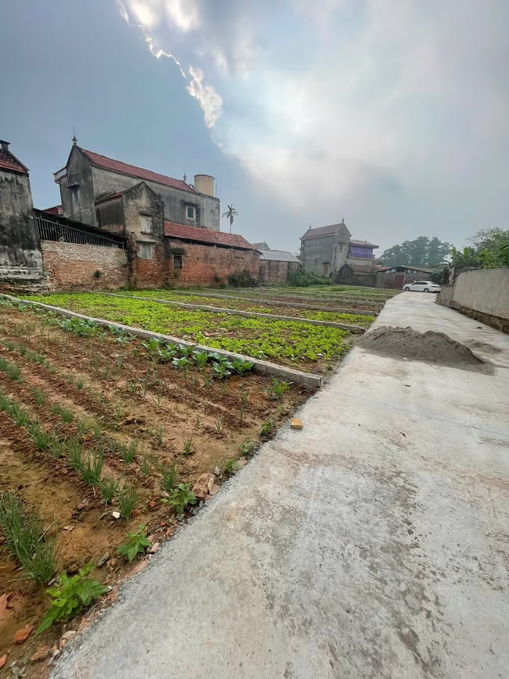 Đất nền Hiệp Cường, Kim Động 70m² giá chỉ từ 200 triệu - Sổ đỏ chính chủ!