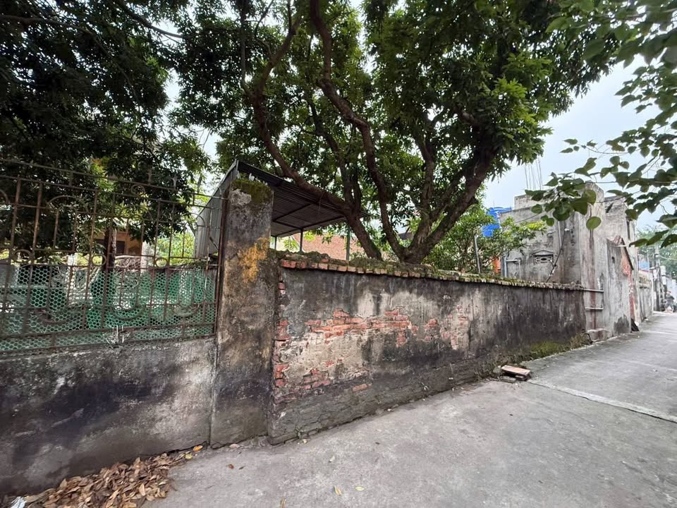 Đất thổ cư Tân Việt Yên Mỹ 350m² giá 3.5 tỷ - Sổ đỏ chính chủ, ô tô vào tận đất!