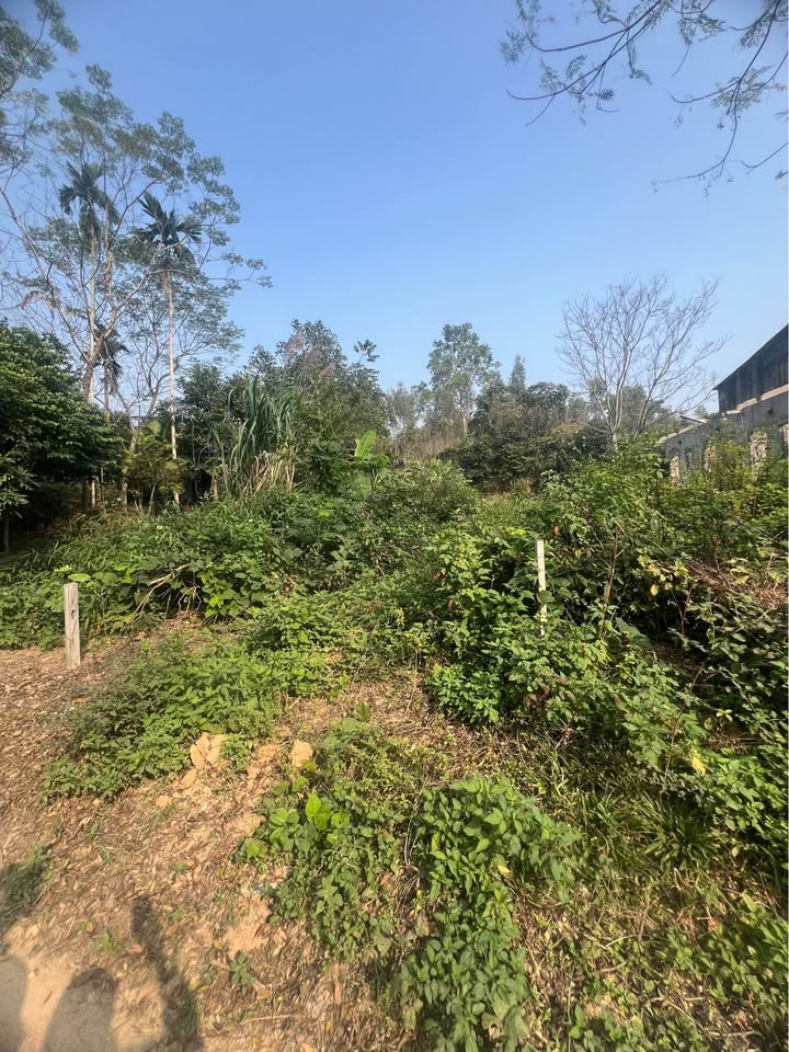 Đất thổ cư 160m² tại phường Ỷ La, Tuyên Quang - Giá chỉ từ 1 tỷ, vị trí cao ráo!