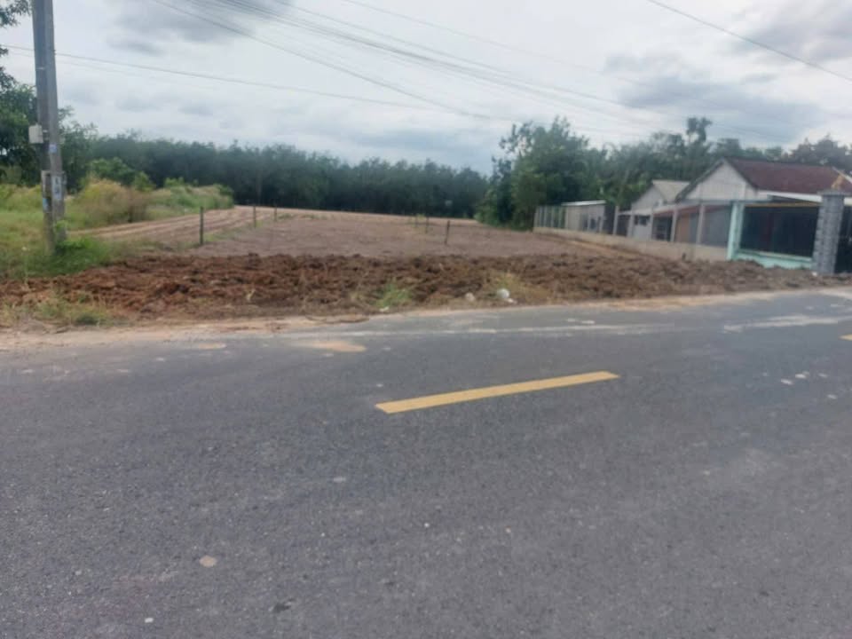 Đất nền Phước Hòa, Gò Dầu, Tây Ninh 500m² giá 2.2 tỷ - Hạ tầng hoàn thiện, tiện ích đầy đủ!