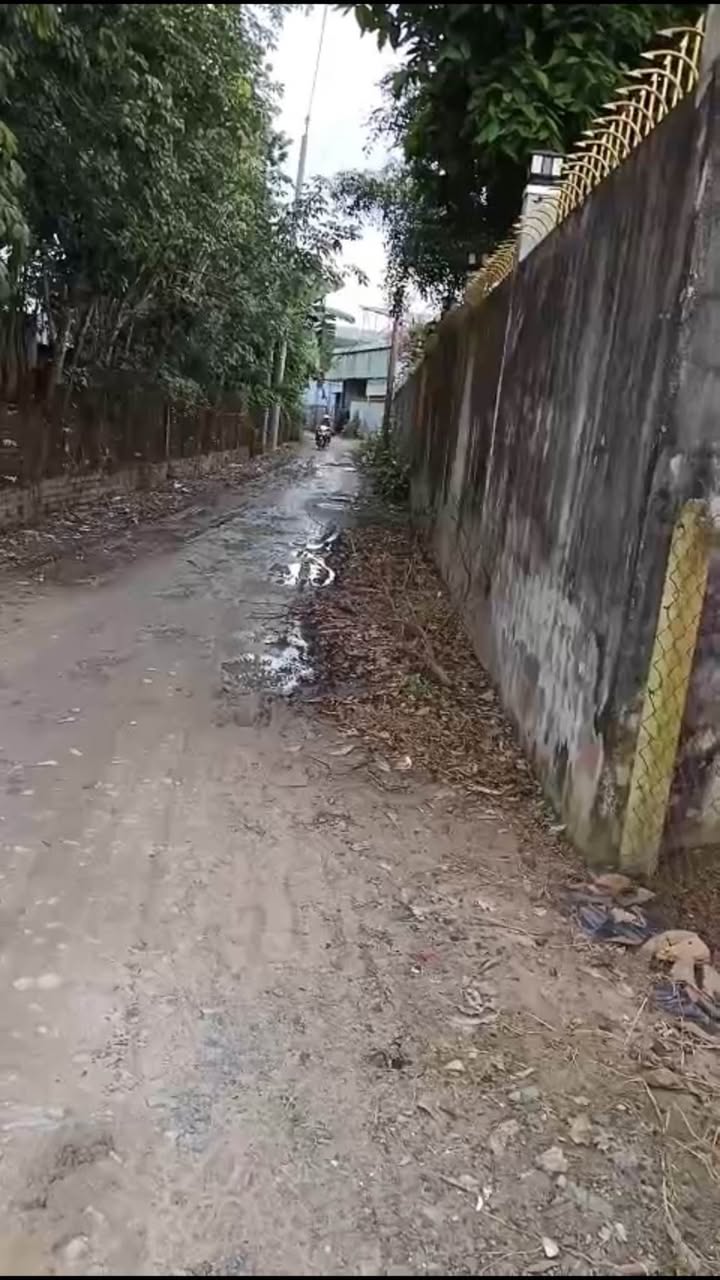 Đất nền góc 2 mặt tiền 577m² tại ấp 3 Bàu Đồn, Gò Dầu - Giá 1.6 tỷ, thương lượng tốt!