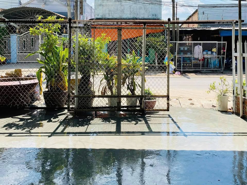 Nhà nguyên căn Gò Dầu Tây Ninh 2 phòng ngủ giá 4 triệu - Cổng rào kiên cố, vào ở ngay!