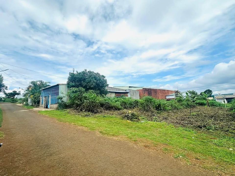 Đất hẻm 196 Lê Thánh Tôn, Pleiku 225m² - Thổ cư hoàn toàn, giá tốt!