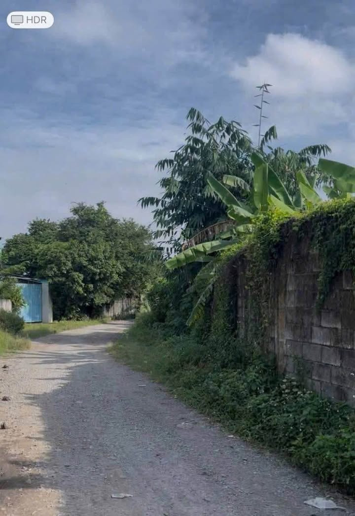 Đất nền Dĩ An 710m² giá 4.97 tỷ - Sổ hồng chính chủ, vị trí đắc địa!