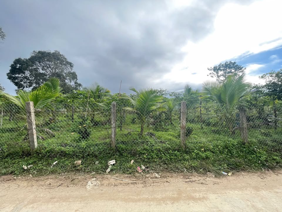 Đất nền Khuê Ngọc Điền, Krông Bông 192m² giá 65 triệu - Cơ hội đầu tư tuyệt vời!