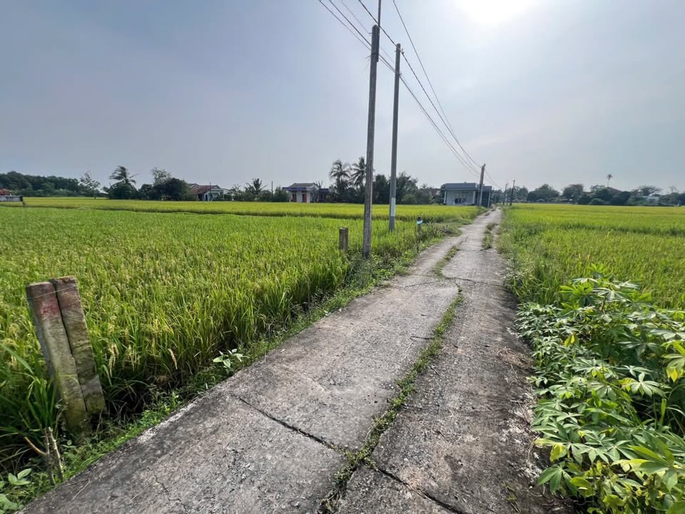 Đất nền Tân Bình 150m² giá chỉ 490 triệu - Đường xe hơi vào tận nơi!