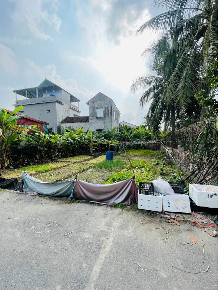 Đất Mão Điền, Thuận Thành 83m² giá 2 tỷ - Ô tô tránh, pháp lý sạch!