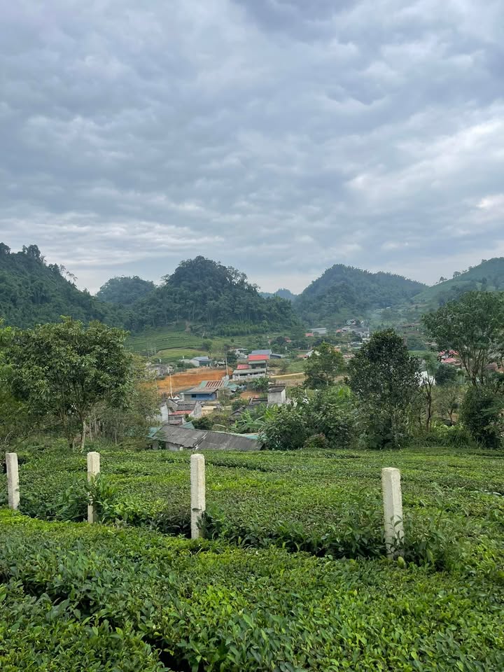 Đất nền Mộc Châu 2800m² giá 3.36 tỷ - Sổ đỏ chính chủ, pháp lý rõ ràng!