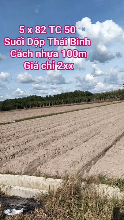 Đất thổ cư Thái Bình Châu Thành 410m² - Đường ô tô, giá tốt thỏa thuận!