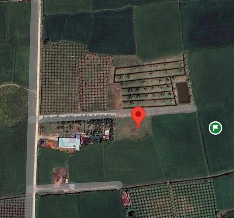 Đất Farm thôn 3, xã Hàm Đức, 5200m² - Vị trí đẹp, giá tốt!