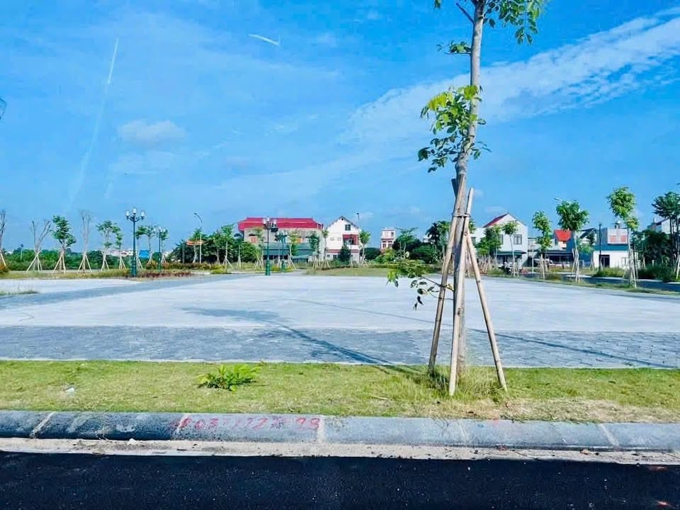 Đất nền biệt thự mini Tân Hưng 98m² giá 3 tỷ - Đường ô tô tránh nhau