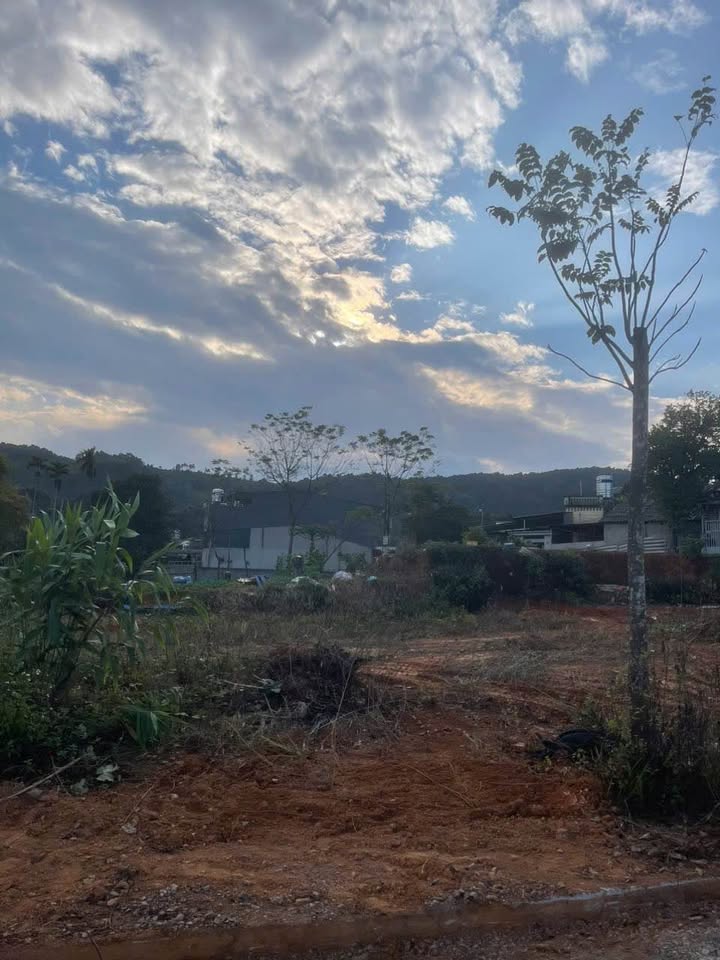 Đất nền trung tâm Lào Cai 100m² giá 1.999 tỷ - Vị trí đắc địa ngay cổng trường Lý Tự Trọng!