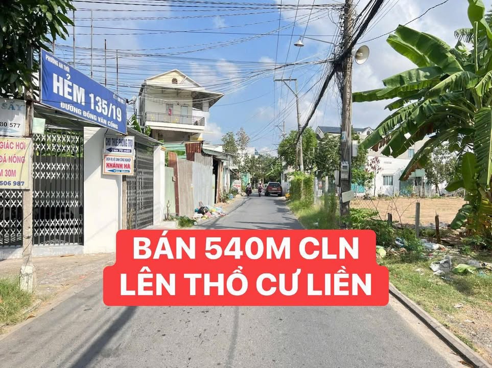 Đất nền 540m² Hẻm 135 Đồng Văn Cống, Bình Thủy, Cần Thơ - Giá 8.5 tỷ, Thương lượng ngay!