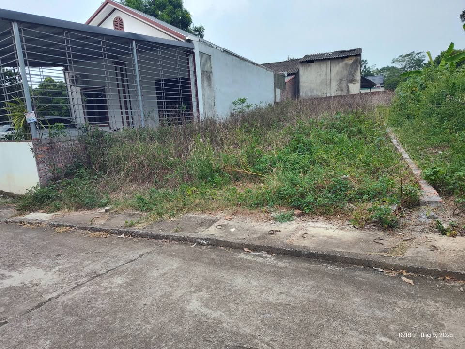 Đất nền Kim Long, Tam Dương 140m² giá chỉ 1.68 tỷ - Sổ hồng riêng, đầu tư sinh lời!