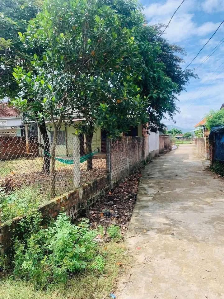 Nhà vườn Nhơn Thọ, An Nhơn 360m² giá 900 triệu - Đầu tư lý tưởng!