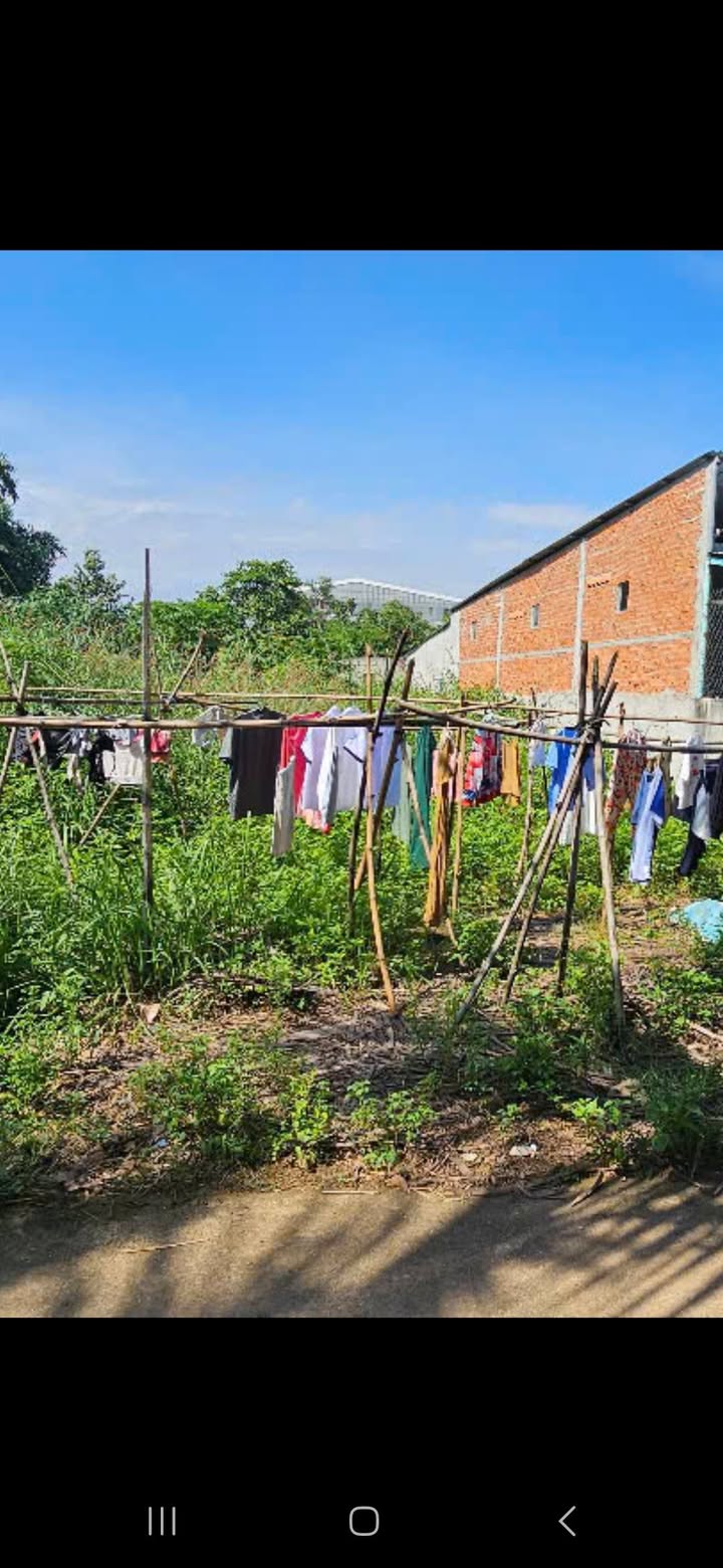 Đất nền Thới Hòa Bến Cát 135m² giá 1.2 tỷ - Đường bê tông, sổ hồng chính chủ!