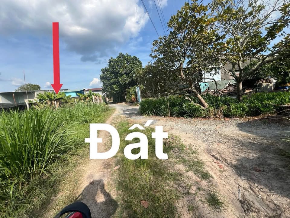 Đất nền liền kề 490 lô tại Lộc Trát, Gia Lộc, Trảng Bàng - Diện tích 1225m², giá thỏa thuận!