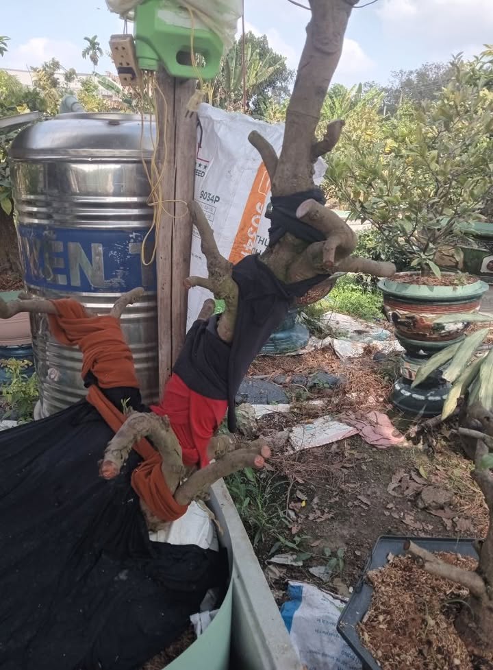 Đất thổ cư 258m² tại Minh Hưng, Bình Phước - Giá chỉ 480 triệu