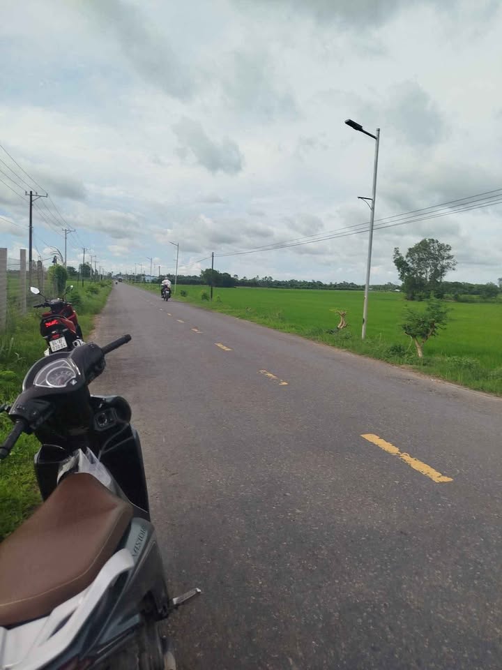 Đất ruộng Tân Hiệp Trà Vinh 80 công giá thỏa thuận - Mặt tiền đường nhựa rộng lớn!