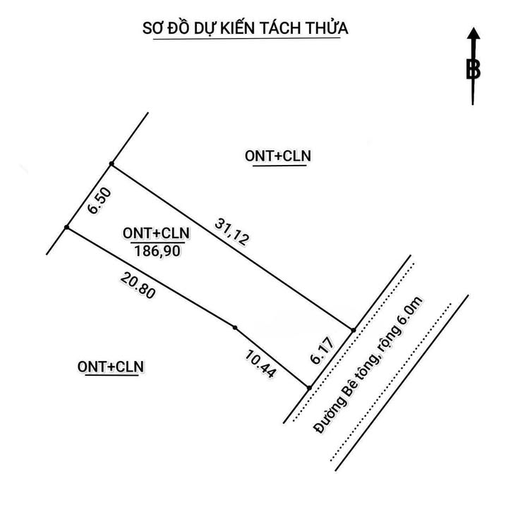 Đất nền chính chủ tại Ngõ 361, Bắc Lý, 191.44m² chỉ 800 triệu - Cơ hội đầu tư tuyệt vời!