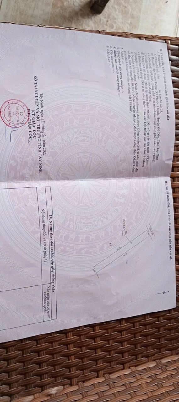 Nhà Phước Thạnh Gò Dầu 50m² giá 650 triệu - Cần bán gấp do kẹt tiền!