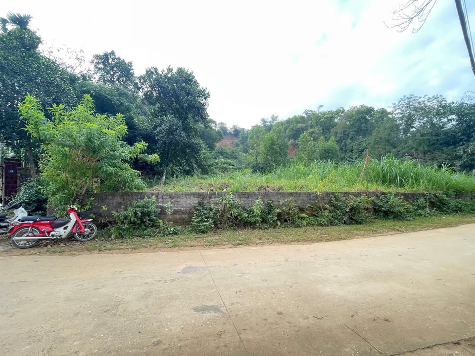 Đất nền nghỉ dưỡng Ba Vì 4000m² giá 7 tỷ - Tiềm năng tăng giá tuyệt vời!