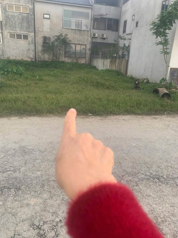 Đất cánh đồng Phượng Nghi Phú 181m² giá 7.9 tỷ - Vị trí đẹp gần sân bay!