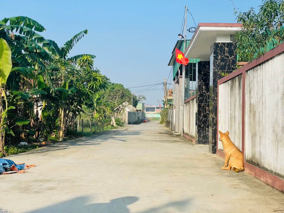 Đất nền Nghi Thuận 83,3m² - Vị trí đắc địa gần ủy ban và trường học!