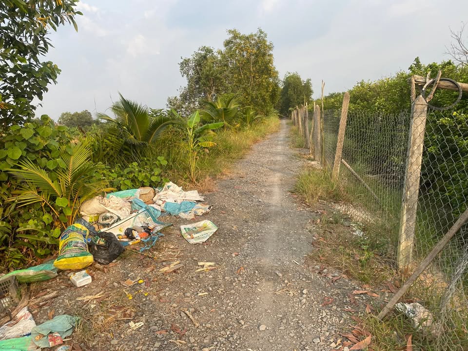 Đất nền ấp 8 xã Lương Hòa Bến Lức 1014m² giá 1.25 tỷ - Vị trí đẹp, thuận lợi