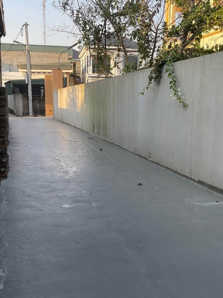 Lô đất Tân Hưng Hải Dương 51m² giá 888 triệu - Đường ô tô vào tận nơi!