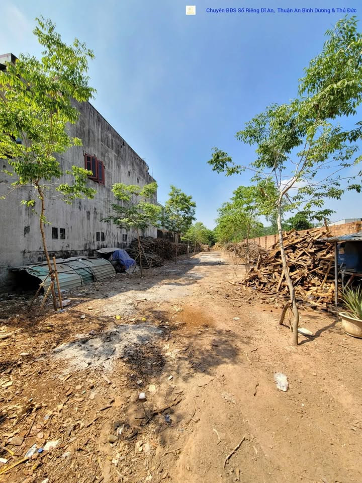 Đất nền 808.7m² Tân Bình, Dĩ An - Giá tốt, xây dựng tự do!